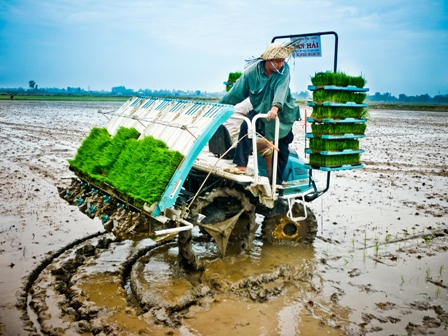Nhiều tác phẩm ảnh nghệ thuật về đề tài nông nghiệp Đồng Tháp đạt giải cao